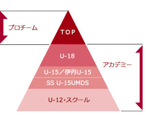 組織概要