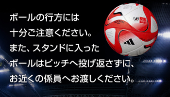 ボールのスタンドへの飛び込みについて