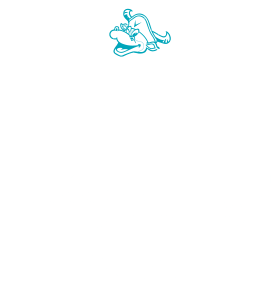 VISSEL SUMMER FESTIVAL 2021