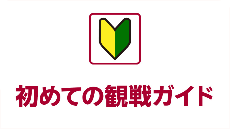 ビギナーズガイド