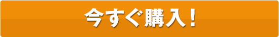 今すぐ購入！