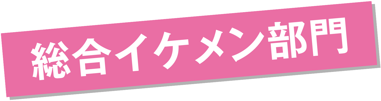総合イケメン部門