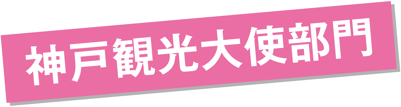 神戸観光大使部門