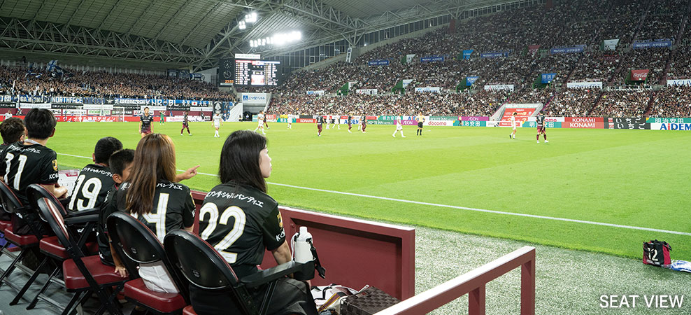 THE PITCH